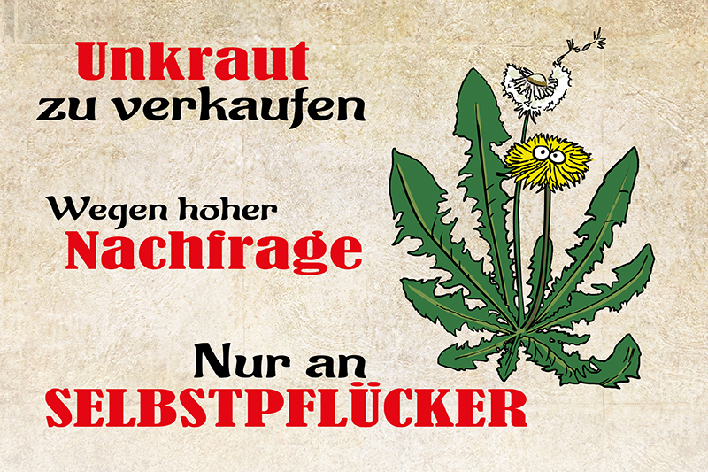 Bild 1 von Blechschild - UNKRAUT ZU VERKAUFEN 20X30CM