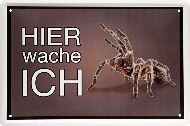 Bild 1 von Blechschild - VOGELSPINNE - HIER WACHE ICH