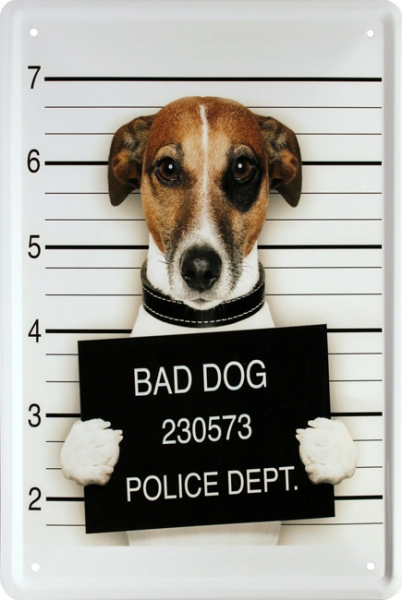 Bild 1 von Blechschild - BAD DOG - 230573 POLICE DEPT.