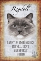 Blechschild - STECKBRIEF - RAGDOLL KATZE