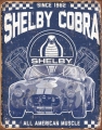 Rusty Blechschild - SHELBY COBRA - AMERICA NMUSCLE