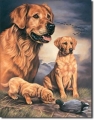 Blechschild - HUNDE - GOLDEN RETRIEVER - GOLDEN EXPERIENCE