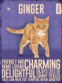 Blechschild - GINGER CAT -ROTE KATZE