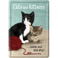 Blechschildkarte - CATS AND KITTENS