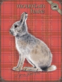 Blechschild - MOUNTAIN HARE - HASE - ROT