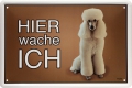 Blechschild - WEISSER PUDEL - HIER WACHE ICH