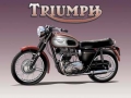 Blechschild - TRIUMPH - BIKE