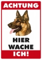 Blechschildkarte-HUNDE-DEUT. SCHÄFER-ACHTUNG-HIER WACHE ICH