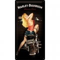 Blechschild 3D - HALREY DAVIDEON MIT PINUP