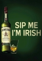 Blechschild - JAMESON IRISH WHISKY - SIP ME IM IRISH
