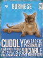 Blechschild - BURMESE CAT