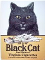 Blechschild - BLACK CAT