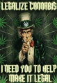 Blechschild - LEGALIZE CANNABIS - I NEED YOU TO HELP