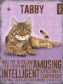 Blechschild - TABBY CAT - GEFLECKTE KATZE