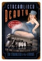 Nostalgie Blechschild - STREAMLINED BEAUTY