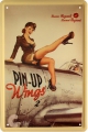 Blechschild - PIN - UP WINGS 2