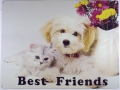 Blechschild - BEST FRIENDS - HUD UND KATZE