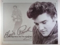 Nostalgie Blechschild - ELVIS PRESLEY - SUN NEVER SETS MUSIK