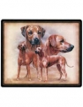 Mausmatte - HUNDE RHODESIAN