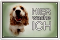 Blechschild-HUNDE-AMERIK. COCKER SPANIEL-HIER WACHE ICH