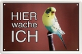 Blechschild - VOGEL-WELLENSITTIG-HIER WACHE ICH