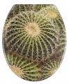 Bild 1 von WC-Toiletten Deckel Duroplast - CACTUS