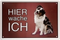 Blechschild - HUNDE - AUSTRALIEN SHEPHARD - HIER WACHE ICH