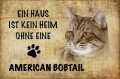 Bild 3 von Blechschild-DIV. KATZEN - EIN HEIM OHNE KATZE IST KEIN