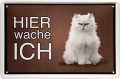 Blechschild - WEISSE KATZE - HIER WACHE ICH