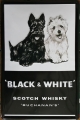 Blechschild - BLACK & WHITE SCOTCH WHISKY