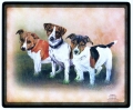Mausmatte - HUNDE - JACK RUSSEL