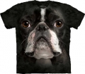 Kinder- + Erwachsenen-T-Shirt - HUNDE - BOSTON TERRIER FACE - IN DIV. GR.