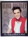 Nostalgie Blechschild - ELVIS PRESLEY - PROTRAIT