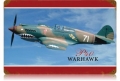 Blechschild - P40 WARHAWK