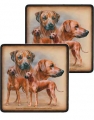 2-er Set Untersetzer - HUNDE - RHODESIAN RIDGEBACK