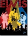 Nostalgie Blechschild - ELVIS - VEGAS REMEMBERED