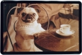 Blechschild - HUNDE - MOPS - SITZEND MIT KAFFEE TASSE