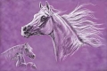 Mausmatte - PFERDE - AARABER TWILIGHT KOLLEKTION - PINK