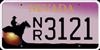 US-Autkokennzeichen-LICENCE PLATE - NEVADA