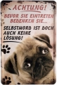 Blechschild - HUNDE-MOPS-ACHTUNG-BEVOR SIE EINTRETEN BEDENKEN SIE