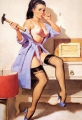 Bild 3 von Blechschild - DIV. PIN UPS GIRLS